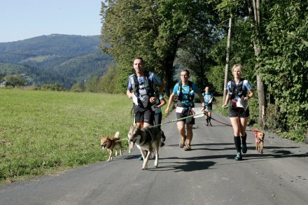 Fragment biegu Pucharu Polski w Dogtrekkingu w Wiśle